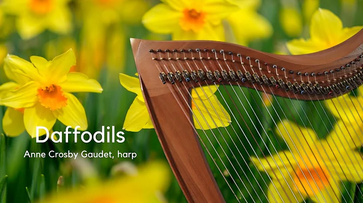 DAFFODILS harp music by Anne Crosby Gaudet