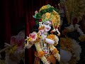 jai shree krishna 🙏🌹🙏❤️💕❤️🙏 #viral #shyam #youtubeshorts #trending #yputubeshorts