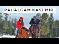 Kashmir Travel | Pahalgam | Mini Switzerland