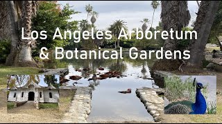 Los Angeles County Arboretum & Botanical Garden Gardens, Peacocks, Queen Anne Cottage & Coach House