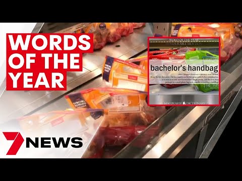 2022 word of the year revealed by macquarie dictionary | 7news