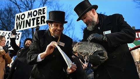 Did Phil see his shadow? Here's the groundhog's prediction