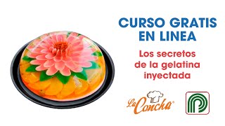 Los Secretos de la Gelatina Inyectada