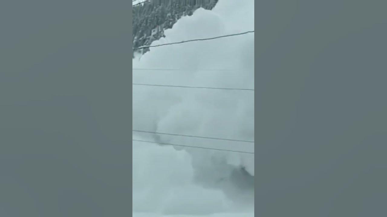 avalanche sliding_#song #sorts #like