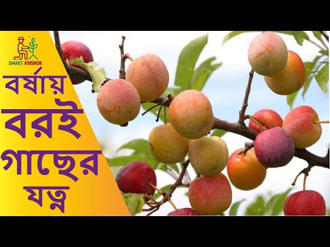 ভিডিও: অর্থ উপহারের জন্য কীভাবে ধন্যবাদ বার্তা লিখবেন: 14 টি ধাপ