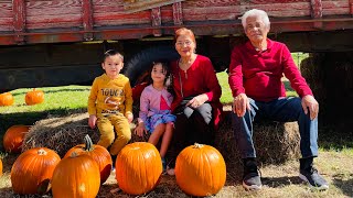 Fall Festival at P-6 Farms Corn Maze
