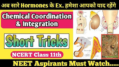 Short Tricks of Chemical Coordination and Integration |NCERT Biology Class 11 Short Tricks  for NEET