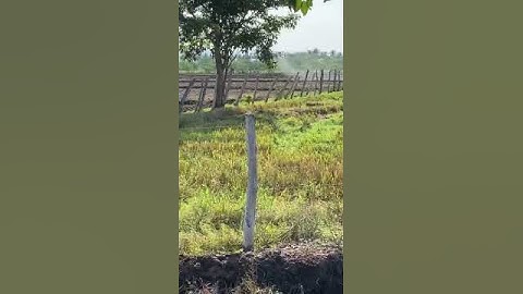 30 liters with obstacle avoidance radar drone agriculture, uav helicopter  agriculture