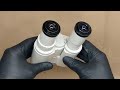 Carl Zeiss Jena Jenaval / Jenamed Mikroskop Grossfeld Binokular mit 30 mm GF-Pw 10x (25) Okulare