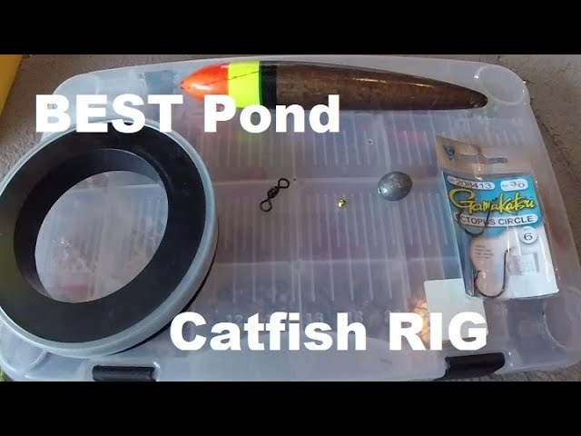 BEST Pond CATFISH Rig : How To TIPS n TRICKS 