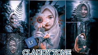 Cloudy  tone  tutorial lightrooom | free preset screenshot 2