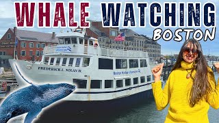 Boston Whale Watching tour | Humpback whale | Solo in USA | Boston Travel Guide vlog | India to USA