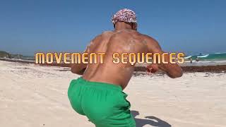 Movement Sequences Fun & Challenging Full Body Workout