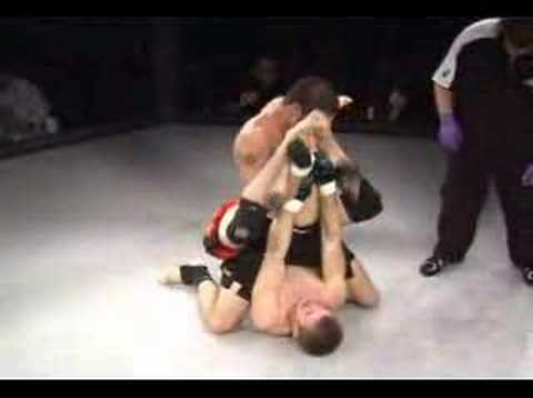 JAMES WHITE MMA VS STEVE GIBSON UFC