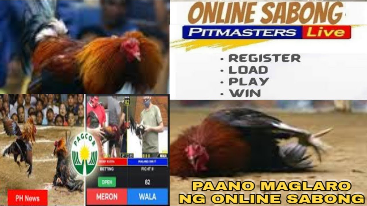 How To Play E Sabong Online How To Register Pitmasters Live Step By Step Youtube