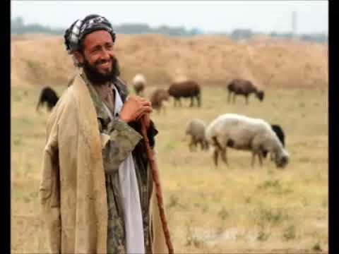 الشيخ حمه عكروم ربي يرحمو