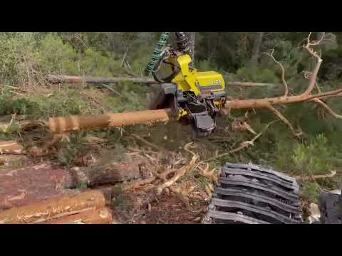 4k | Forestry works with John Deere machines! Harvester 1270g