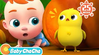 Little Chick Search Song | Little Chick, Where Are You? + Baby ChaCha Nursery Rhymes \u0026 Kids Songs