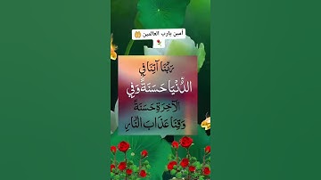 ربنا أتنا في الدنيا حسنة وفي الآخرة حسنة وقنا عذاب النار 🤲💚⚘️حالات واتس اب قرآن كريم 💞💚⚘️