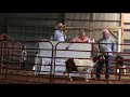 Boer Goat Auction