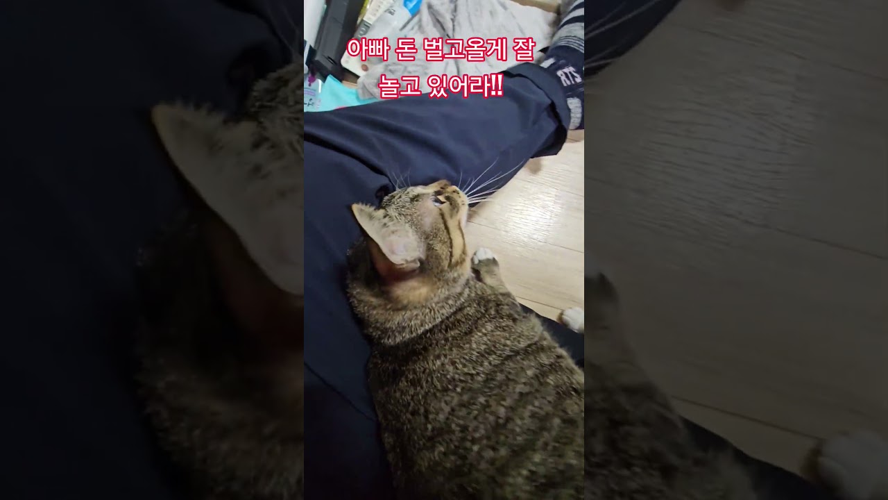 우리 딸 #햇살 #출근 #부산강서구 #구독 #좋아요 #감사합니다