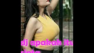 Dj Apakah itu cinta 2020