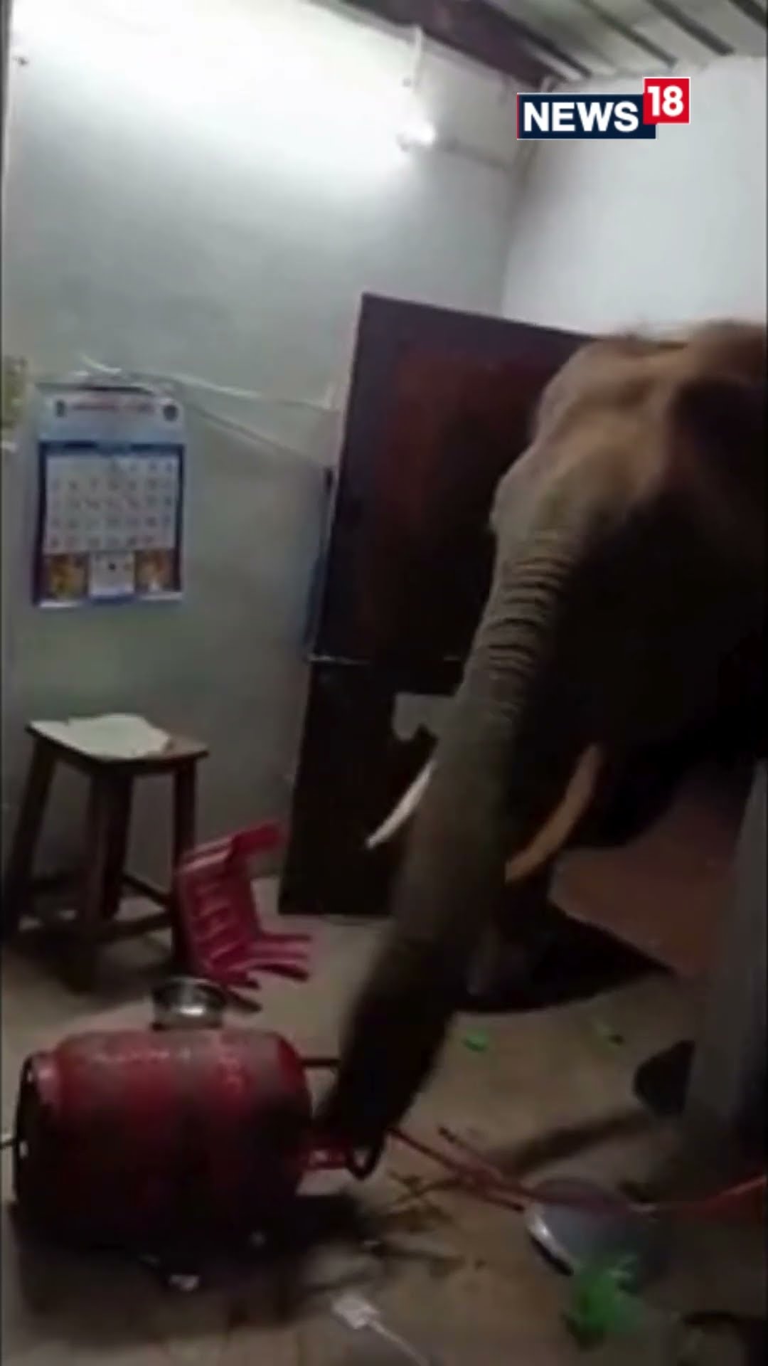 Wild Elephant Smashes Door And Reaches Trunk Inside To Search For Food In Tamil Nadu, India | N18S