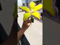 comment for order #customized #pipecleaner #flowers #reelstrending #viral #smallbusinessidea