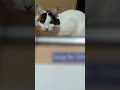 覚醒😻ククルさんの第三の目が覚醒した？