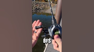 Why You NEED A BFS Fishing Reel! #shorts #bfsfishing