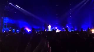 rhcp under the bridge firefly