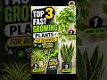 Top 3 Fastest Growing indoor low light Plants best for Beginners no Maintenance needed table plants