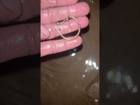 اطلالة مشرقة أليس كذلك