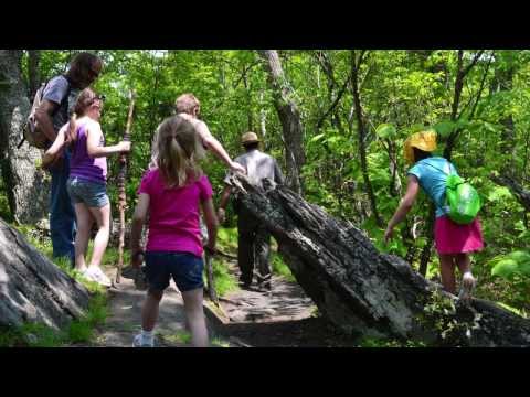 Video: Hiking With Children Under 3 Years Old: Features And Difficulties