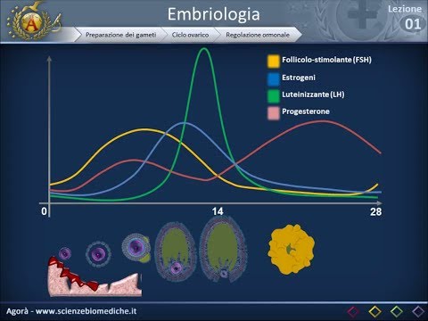 Video: Infezione Da Virus Zika In Malesia: Un'analisi Epidemiologica, Clinica E Virologica