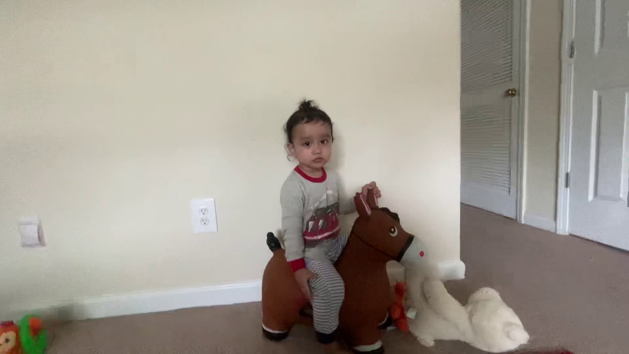 Inpany Bouncy Horse Hopper.