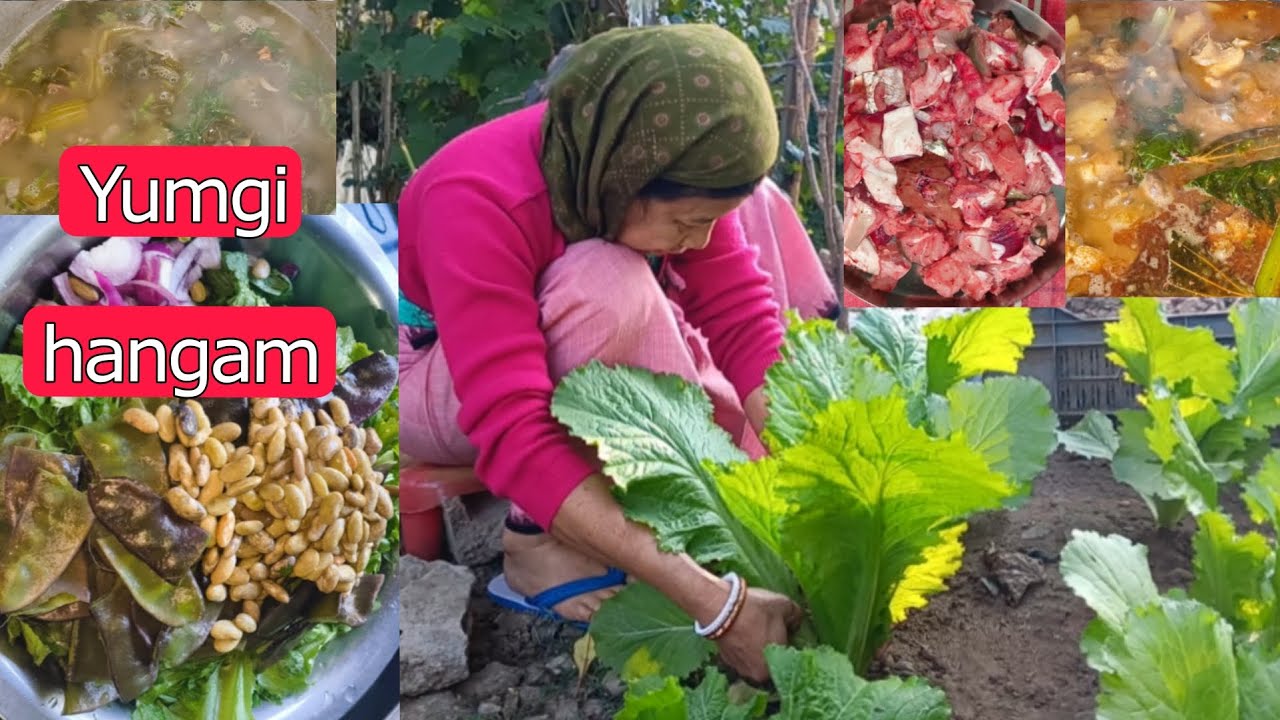 Yumgi hangam ngac chara tamle☺️ sareng makok hangamga thongle😋|| numidangda samjinle😄 @alpanakhuman