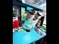 GSM fix Tools RT7050Ultra Microscope may new ❤️❤️❤️ #punjabisong Rocky Telicom Dhaka Gulistan