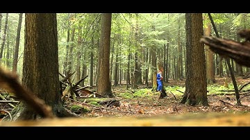 Fireworks - Arrows (Official Video)