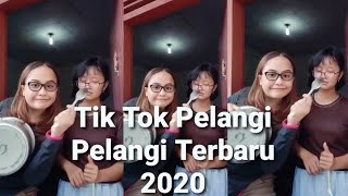 Tik Tok Terbaru 2020 Part 93 || Kompilasi Pelangi Pelangi