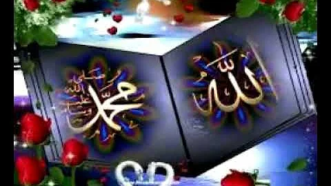 SHAMSUDDIN ALI