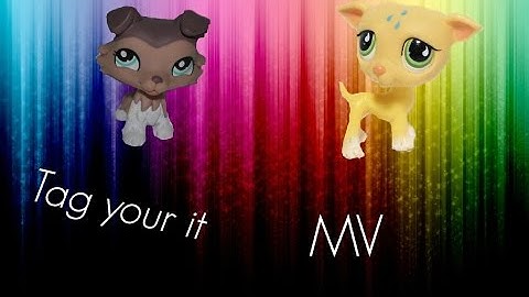 LPS:Tag, You