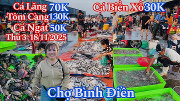 Chợ Bình Điền Sáng Thứ 3 - Cá Biển Xổ 30K, Tôm Càng 130K, Cá Ngát 50K, Cá Lăng 70K | 18/11/2025