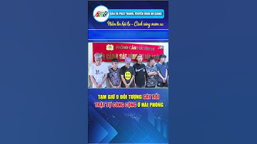 TẠM GIỮ 9 ĐỐI TƯỢNG GÂY RỐI TRẬT TỰ CÔNG CỘNG Ở HẢI PHÒNG #tintuc #atvtintuc #news
