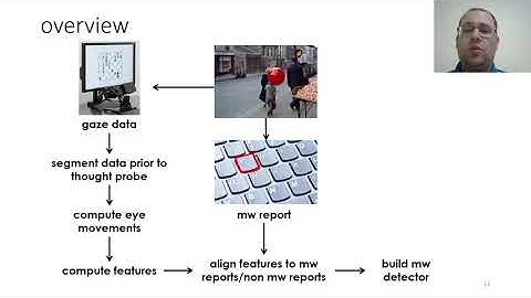Crossed Eyes: Domain Adaptation for Gaze-Based Mind Wandering Models