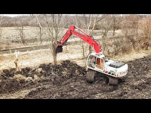 Cleaning up a Neglected Farm!