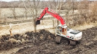 Cleaning up a Neglected Farm!