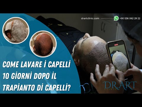 Video: 3 modi per giocare con i paguri