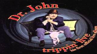 Wild Honey-Dr.John