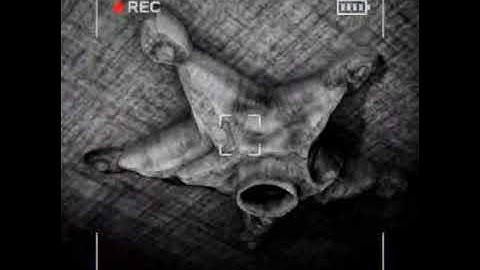 content warning interviewing monsters